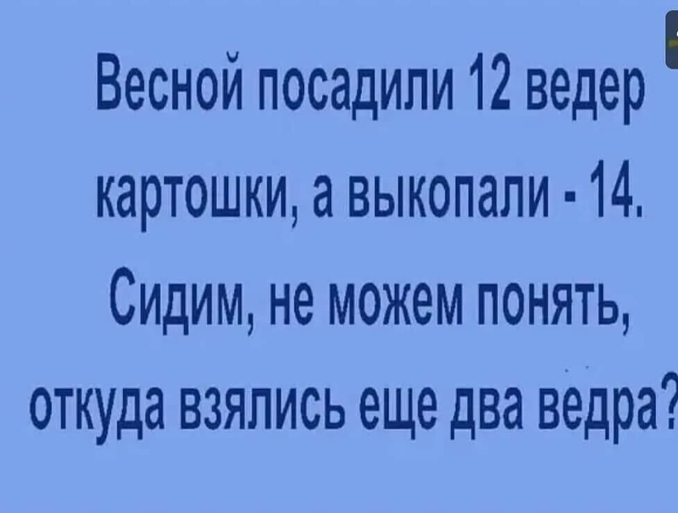 Весной посадили 12 ведер картошки а выкопали 14 Сидим не можем понять откуда взялись еще два ведра