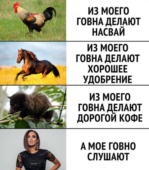 ИЗ МОЕГО ГОВНА ДЕЛ_АЮТ НАСВАИ ИЗ МОЕГО ГОВНА дЕЛАЮТ ХОРОШЕЕ УДОБРЕНИЕ из моего ГОВНА дЕЛАЮТ 33 __ дорогои КОФЕ А МОЕ ГОВНО СЛУШАЮТ