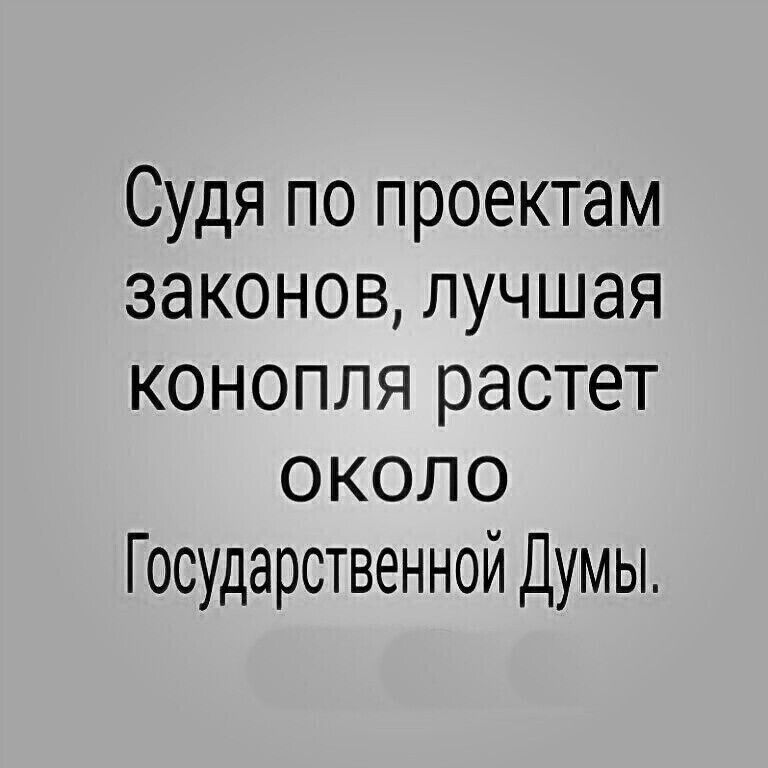 Судя по проектам законов лучшая конопля растет около Государственной Думы