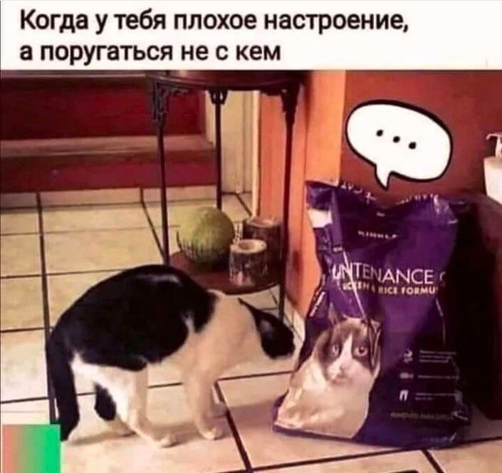 Когда у тебя плохое настроение а поругаться не с кем