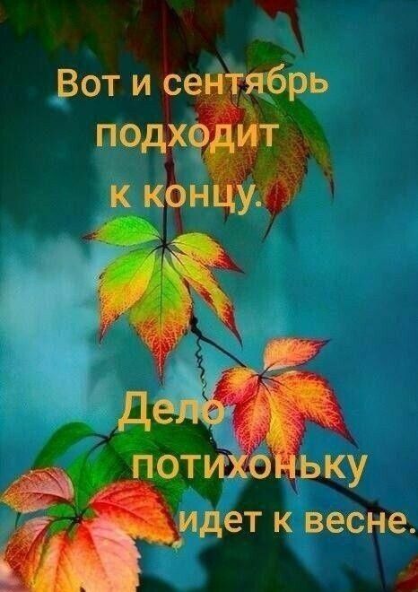 оти ьку идет К весне