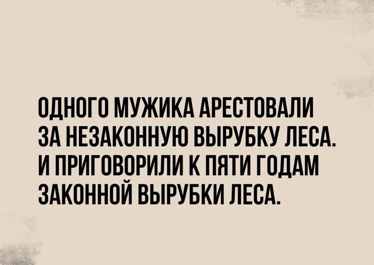 ОДНОГО МУЖИКА АРЕОТОВАЛИ ЗА НЕЗАКОННУЮ ВЫРУБКУ ЛЕОА И ПРИГОВОРИЛИ К ПЯТИ ГОДАМ ЗАКОННОИ ВЫРУБКИ ЛЕОА