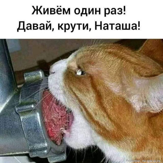 Живём один раз давай крути Наташа