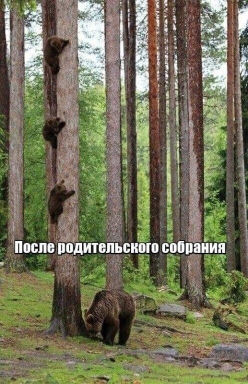 Ко!  .    Одите после п
