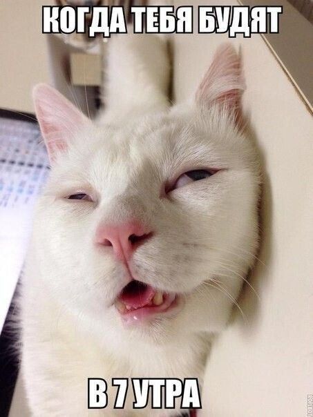 Огдалтебя ь  й