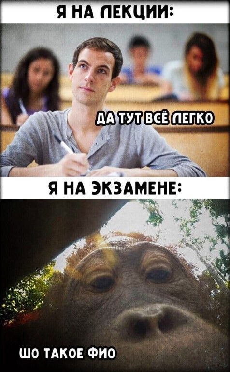 Я НА ЛЕКЦИИ ШО ТАКОЕ ФИО