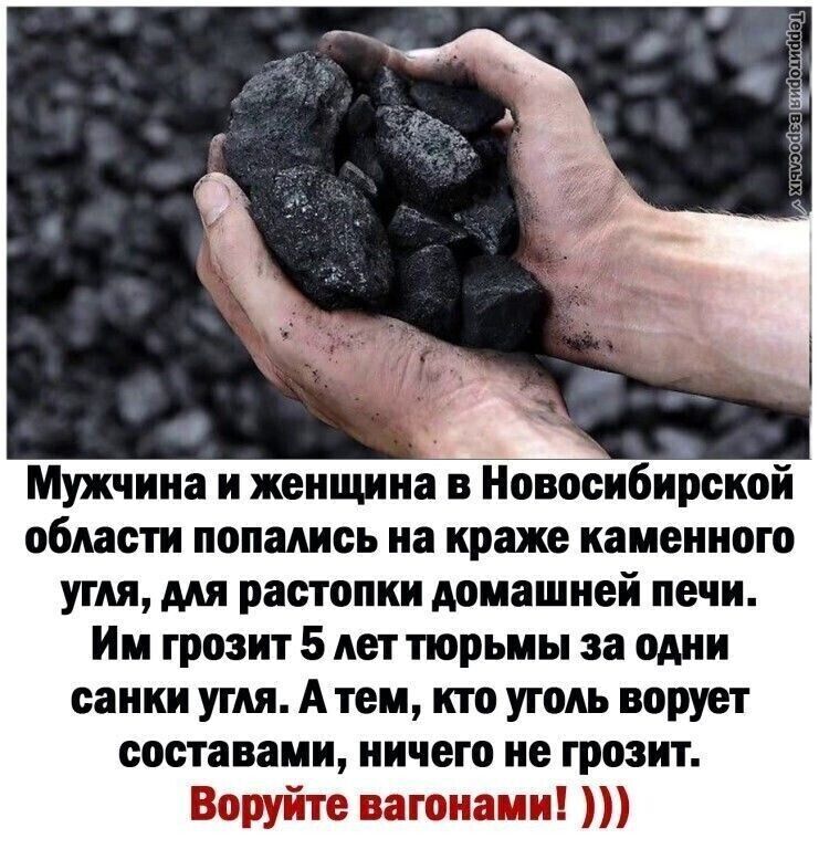 Мужчина и женщина в Новосибирской области попались на краже каменного угля мя растопки домашней печи Им грозит 5 лет тюрьмы за одни санки угля А тем кто уголь ворует составами ничего не грозит Воруйте вагонами