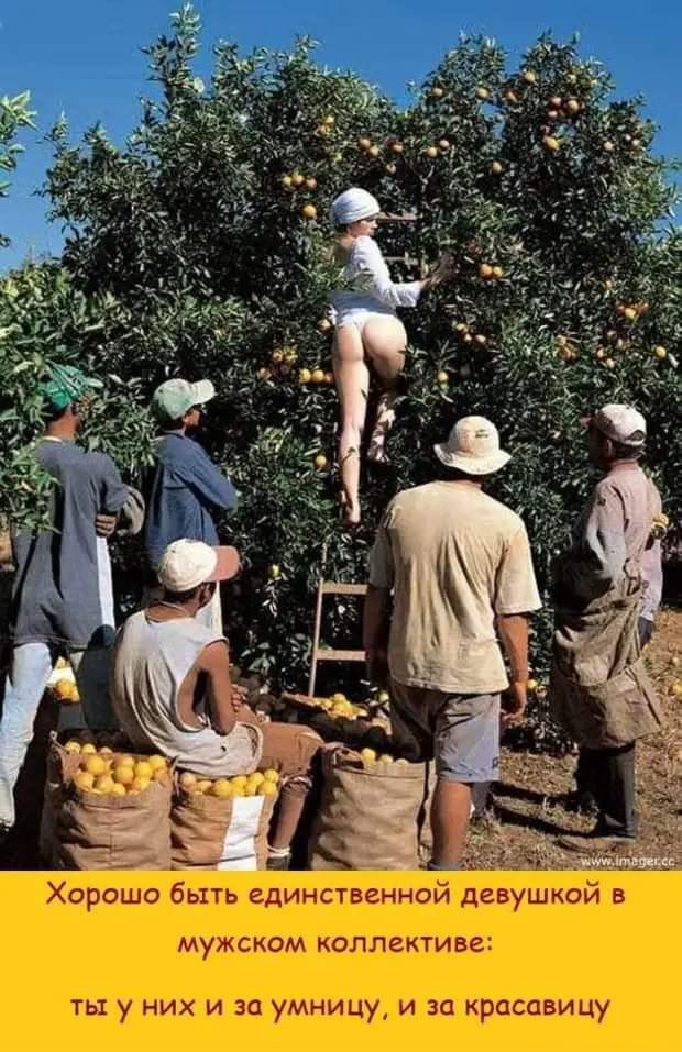 и пинчш 337 тин ім тр иш НМЦ Ни в ЦИ гп