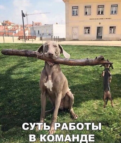 Суь работы а  в. Команде