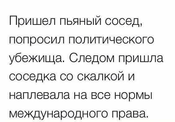 Пришел пьяный сосед попросил политического убежища Следом пришла соседка со скалкой и наплевала на все нормы международного права