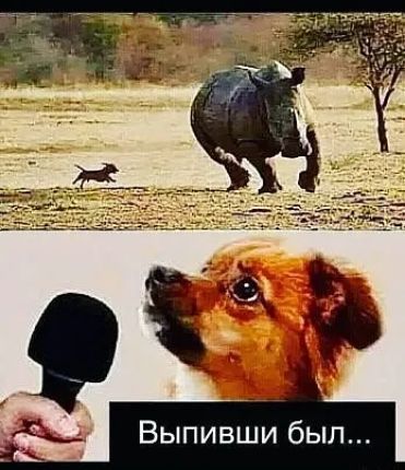Выпивши был...