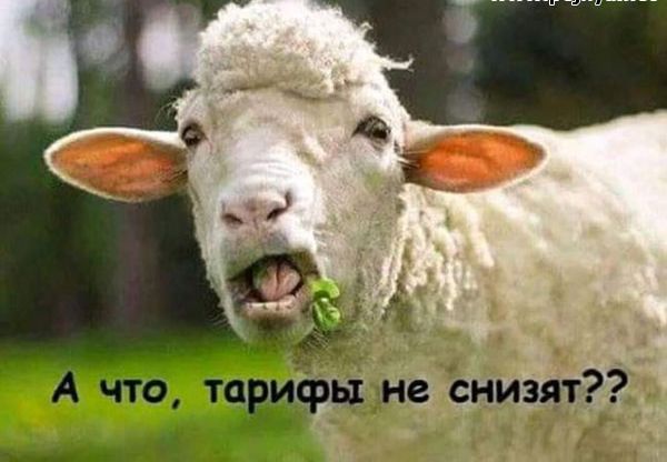 А что тиви цуечсниздт ___ Щ ён