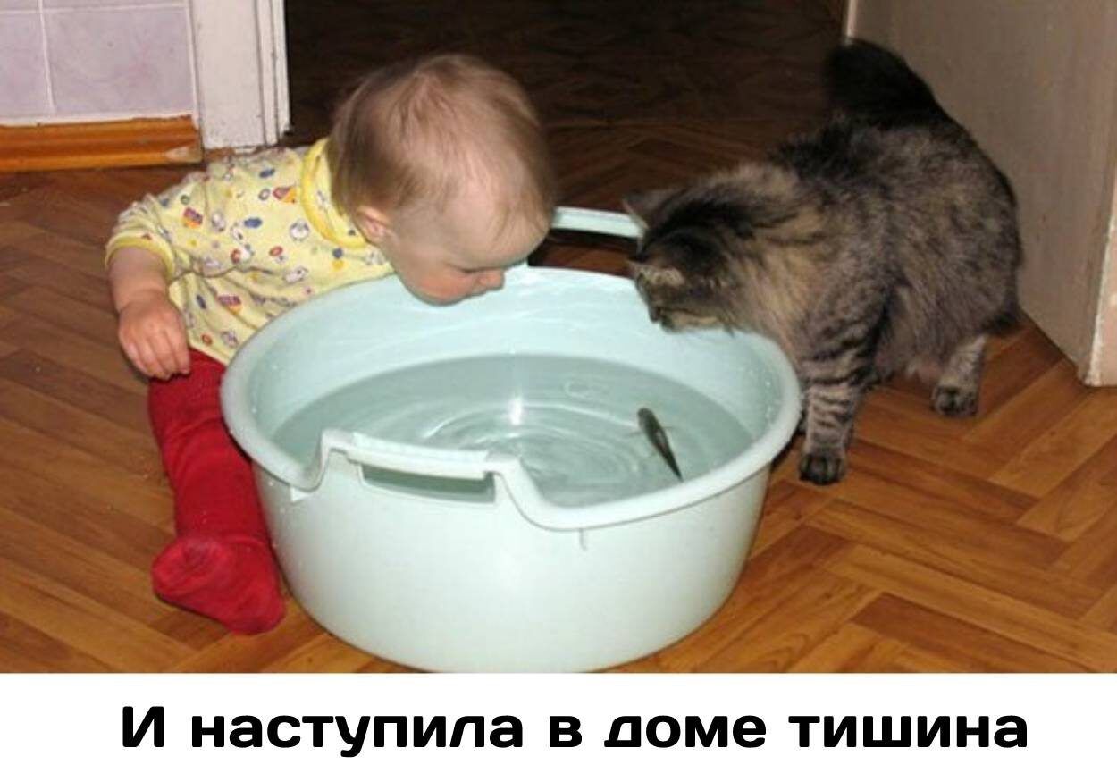 И НЭСТУПИПЭ В доме ТИШИНЭ