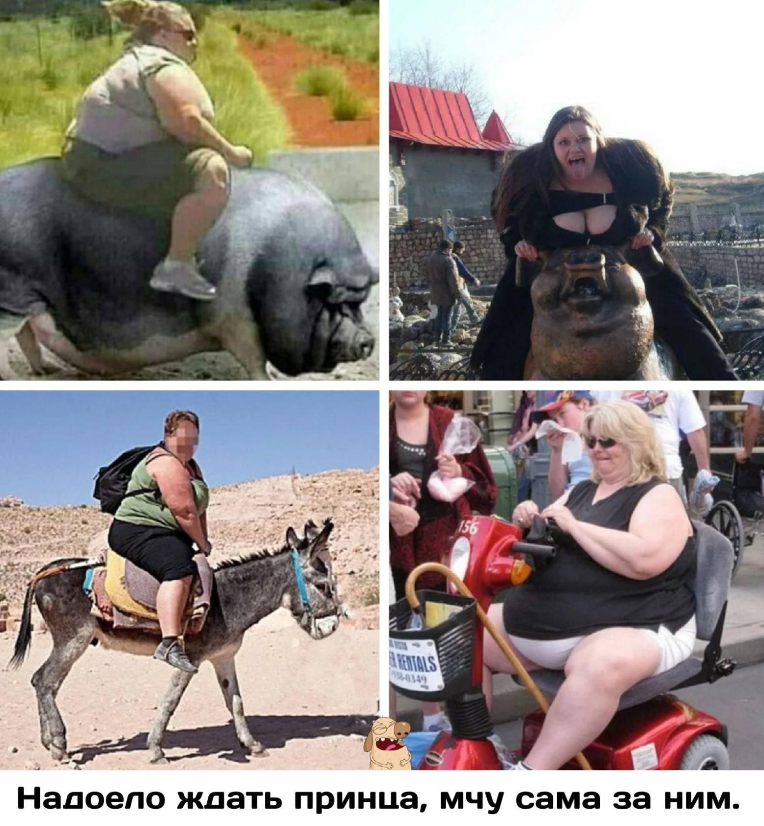 Надоело ждать принца мчу сама за ним