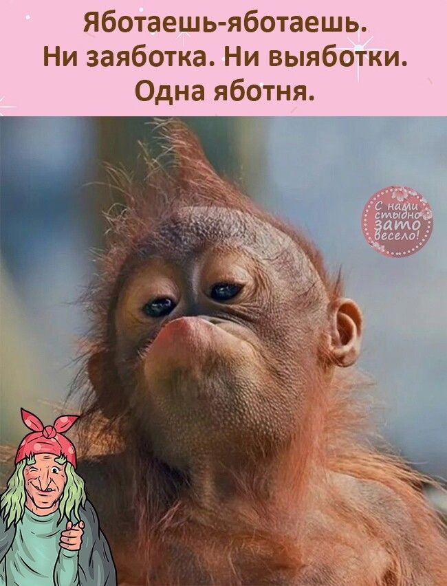яботаешь яботаешь Ни заяботка Ни выяботки Одна яботня