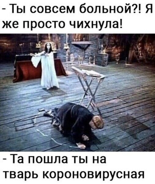 Ты совсем больной Я же просто чихнула ил Та пошла ты на тварь короновирусная