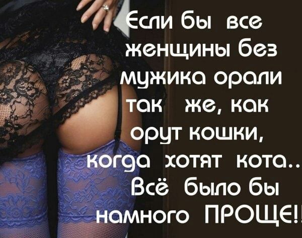 тёти бы все женщины без мужика орали Гон же как орут кошки хотят мото Всё было бы много ПРОЩЕЦ