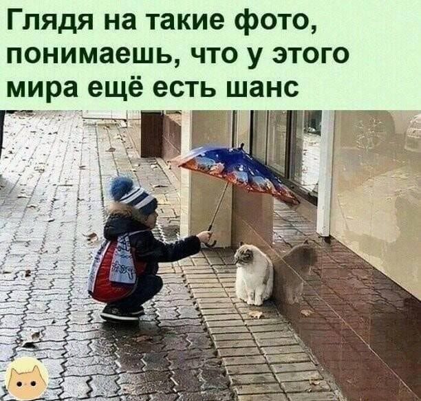 Глядя на такие ф0Т0 понимаешь ЧТО У этого мира ещё есть шанс г