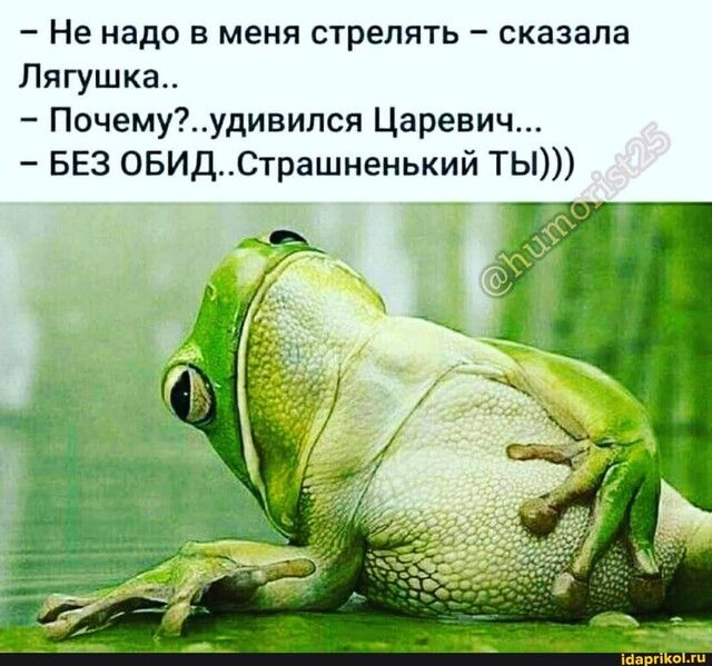 Не надо в меня стрелять сказала Лягушка Почемуудивился Царевич БЕЗ ОБИДСтрашненький ТЫ