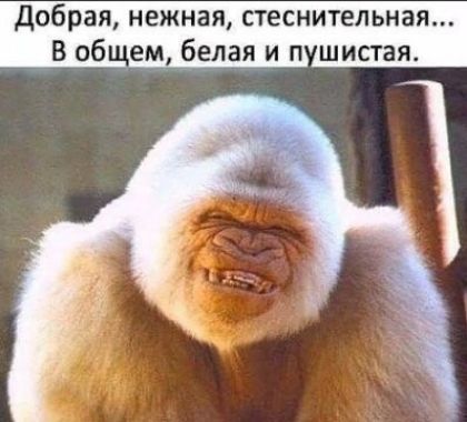 об ая нежная с еснительная _В общем белая и п шиста