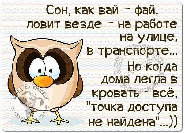 Сон как вай фай повит везде на работе на улице в транспорте Но когда дома легла в кровать всё точка доступа не найдена