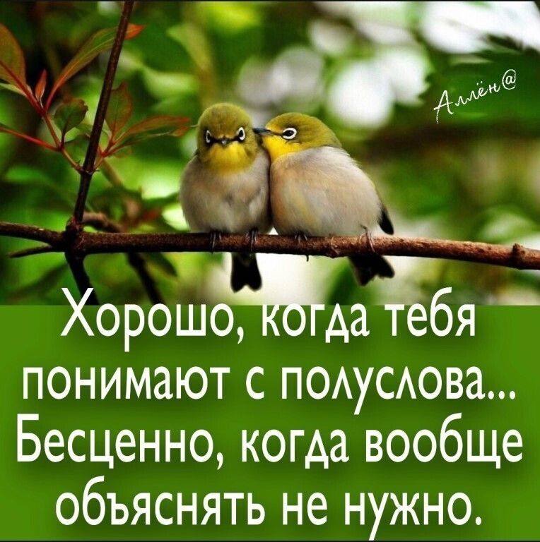 Хороъэмдаібя понимают с ПОАуСАова Бесценно когда вообще объяснять не нужно