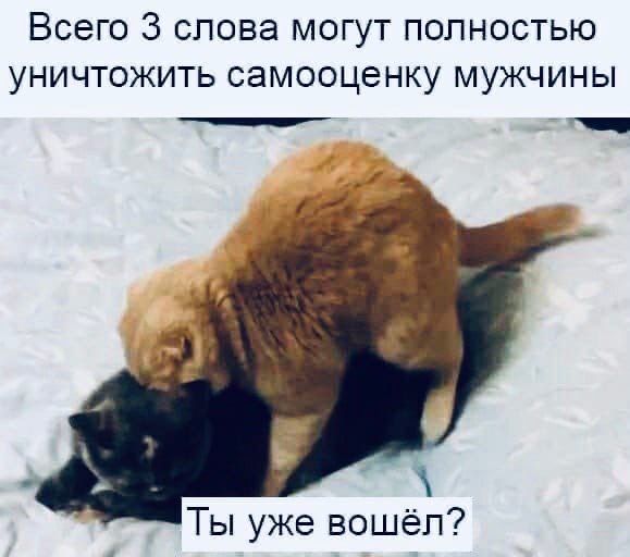Всего 3 слова могут полностью уничтожить самооценку мужчины Ты уже вошёл