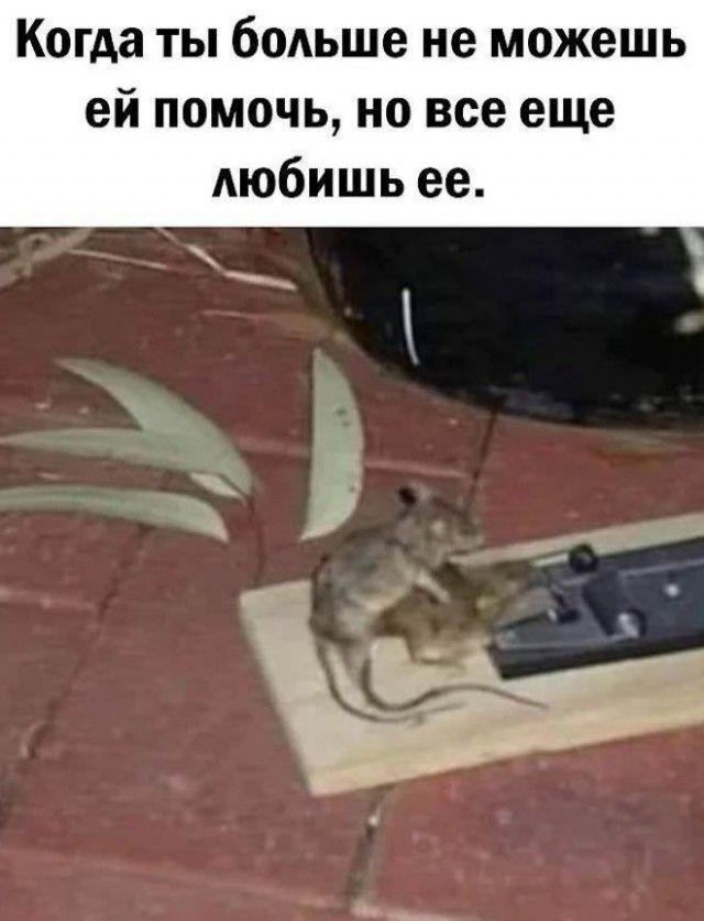 когда ТЫ больше не можешь ей ПОМОЧЬ НО все еще АЮбИШЬ ее