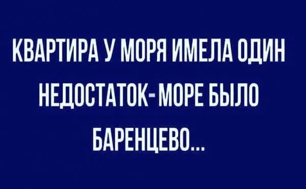 КВАРТИРА У МОРЯ ИМЕЛА ШИН НЕДОВТАТПК МОРЕ БЫЛО БАРЕНЦЕВП