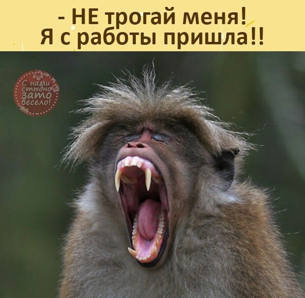 НЕ трогай меня Я с работы пришла