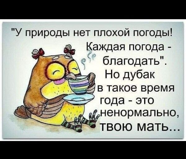 У природы нет плохой погоды Комщая погода бпагодать Ё Но дубак в такое время года это ненормально ТВОЮ МЭТЬ