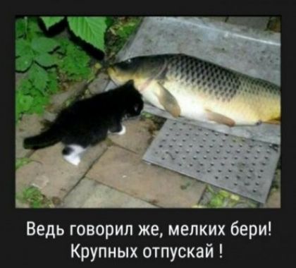 Ведь говорил же мелких бери Крупных отпускай