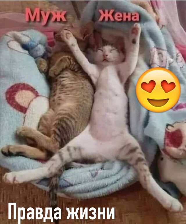 Правда жизни