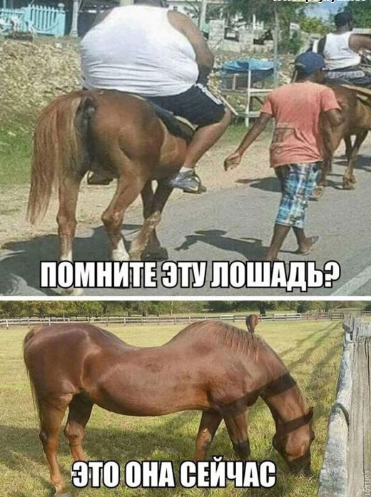 чтпьпнпцгичпс Уз
