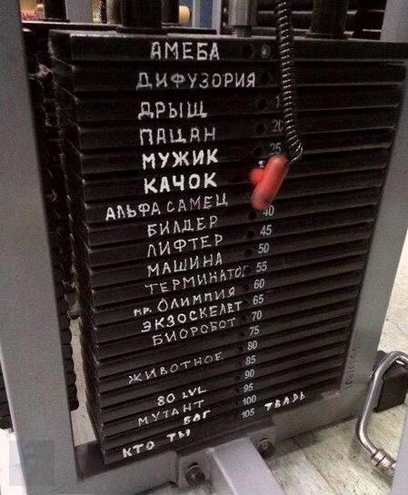 Щ дИЕБА дИФіЗОРИЯ дРЫЩ ППЦЯН