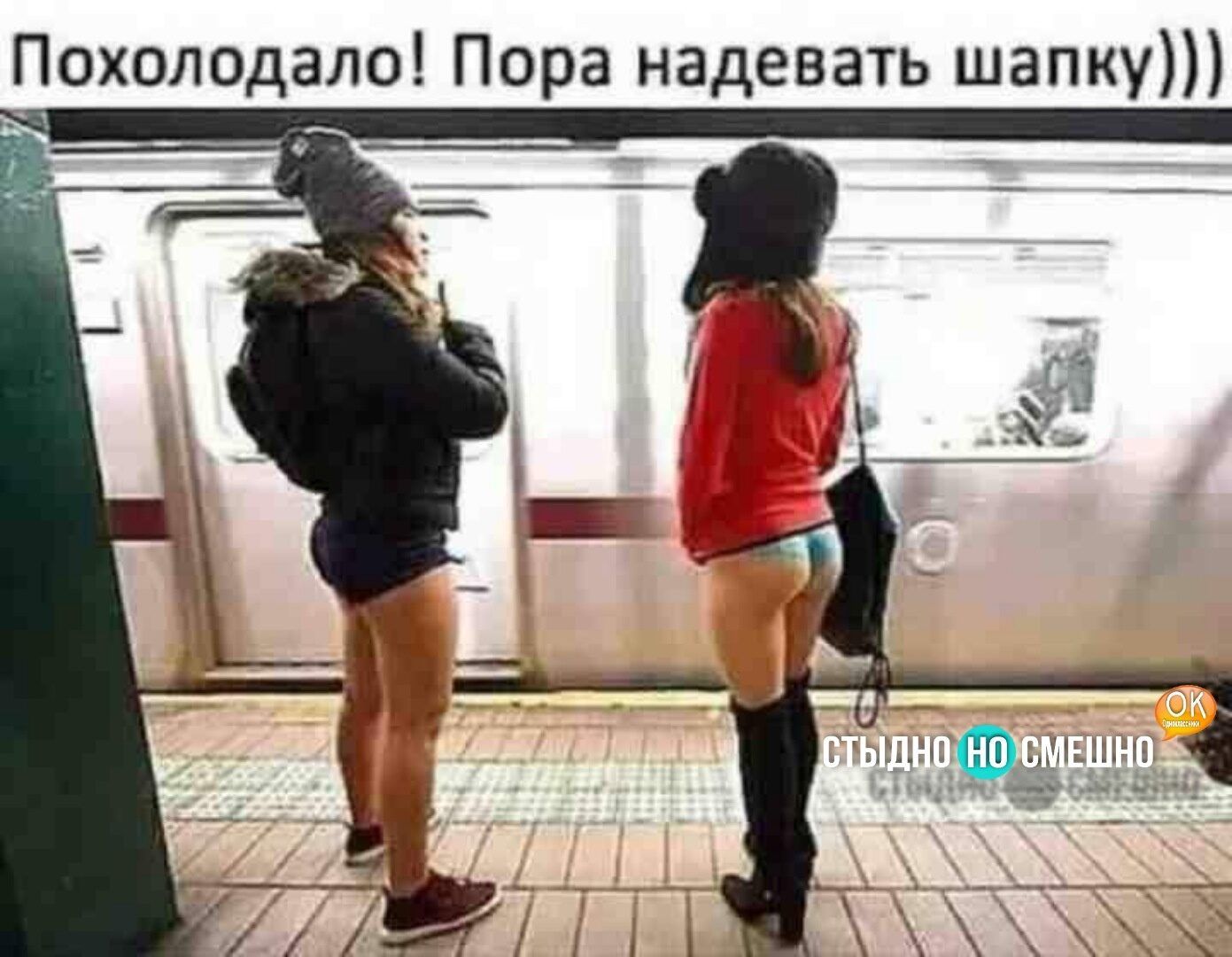 Похолодало Пора надевать шапку