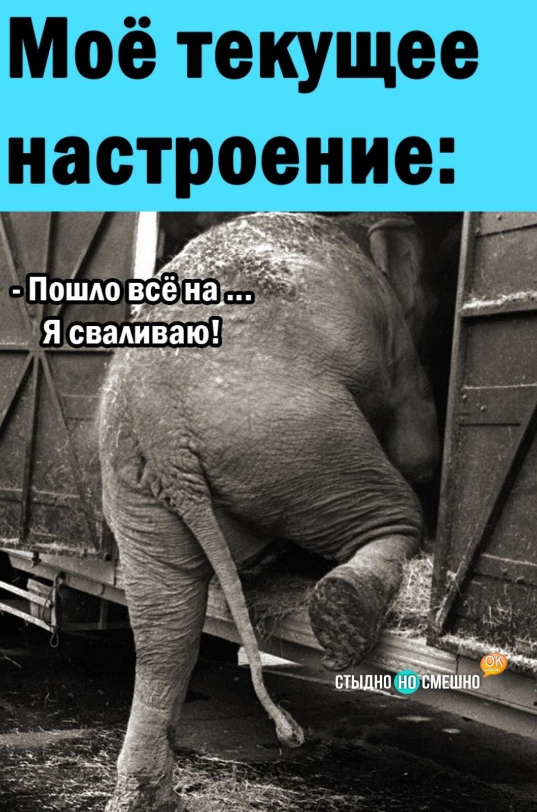 Моё текущее настроение Пошо вс Ъ Я евашве _ _ стьшщ пёійдвшнобк