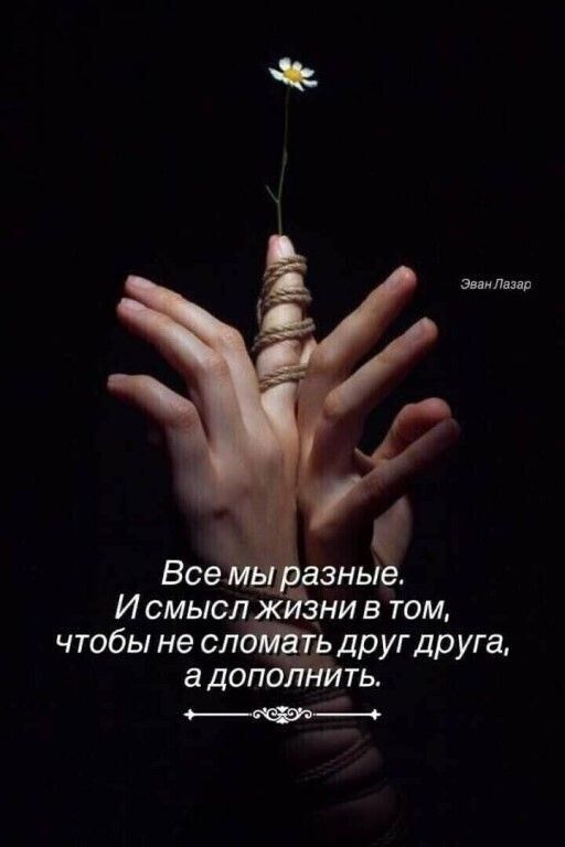 впитали Все ёэньіе И смысл ни в том чтобы не СЛО дрУГДруга а допол ть