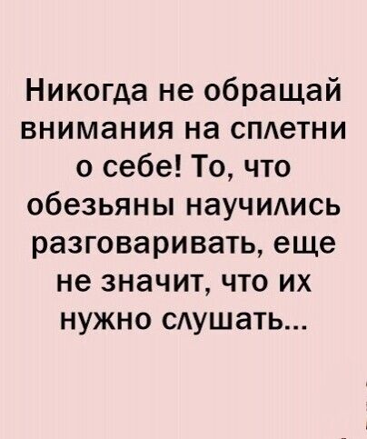 Никогда не обращай внимания на сметни о себе То что обезьяны науЧИАись разговаривать еще не значит что их нужно сдушать