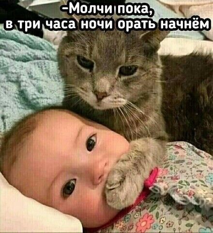 Молчи пока в три чаЕаночи орать начнём