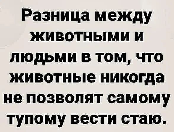 Разница между животными и людьми в том что животные никогда не позволят самому тупому вести стаю