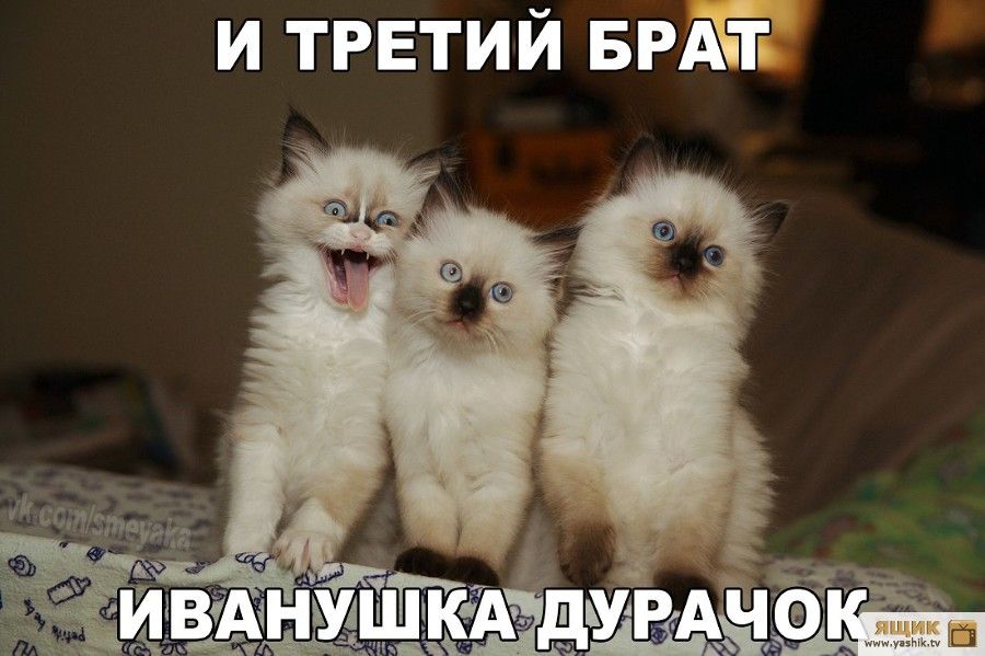 и третий БРАЁТ