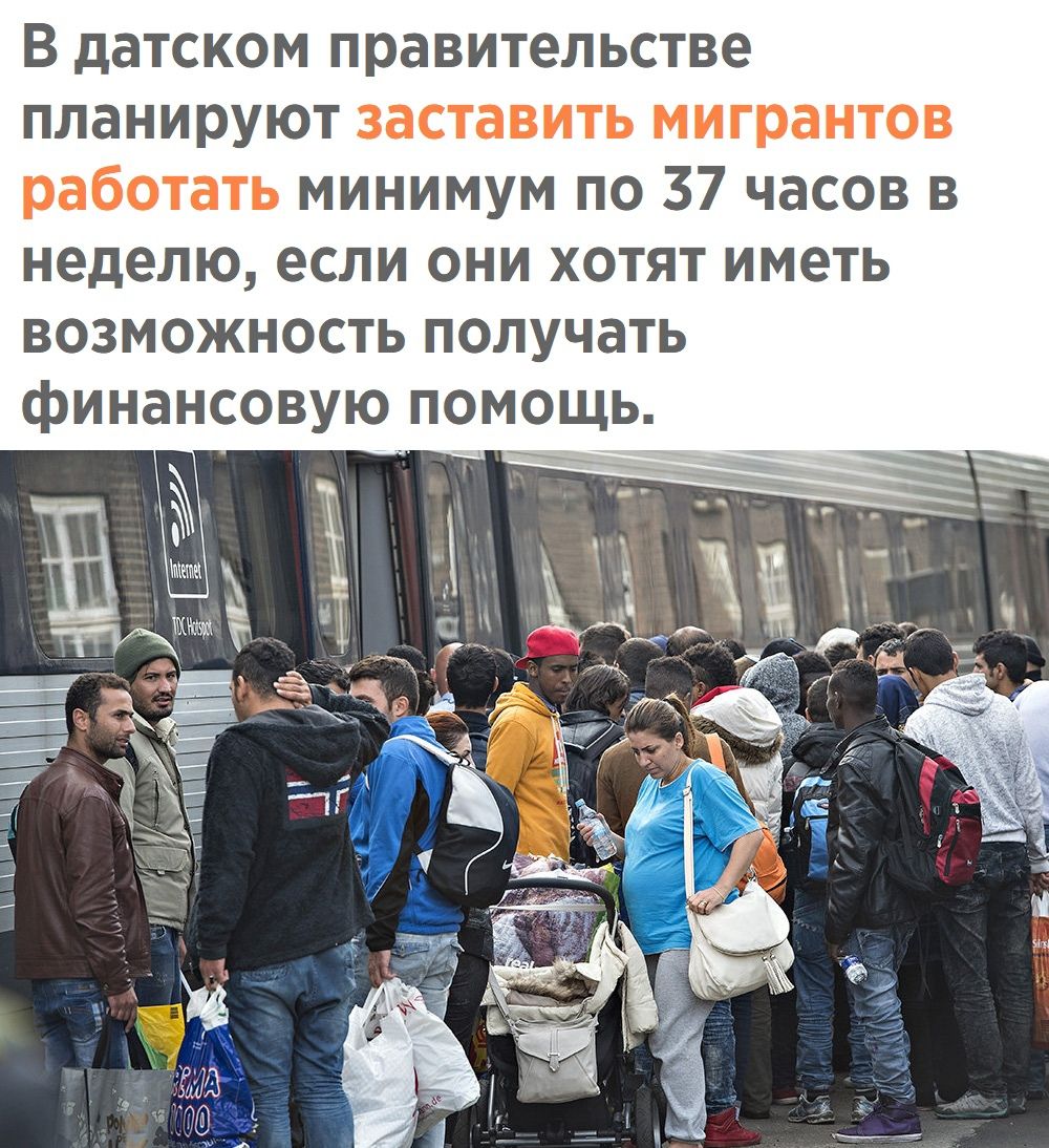 В датском правительстве планируют заставить мигрантов работать минимум по 37 часов в неделю если они хотят иметь возможность получать