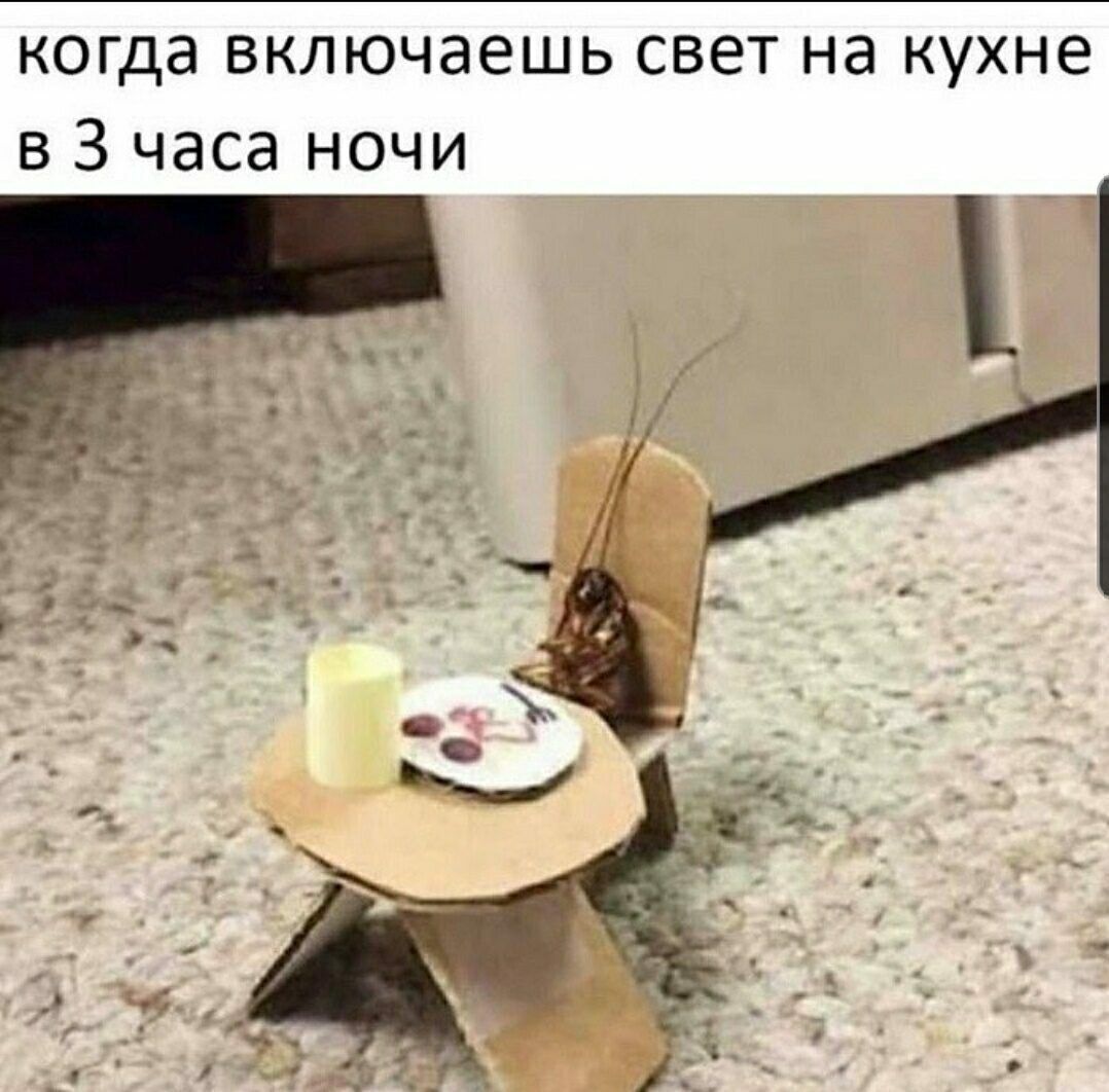 когда включаешь свет на кухне в 3 часа ночи