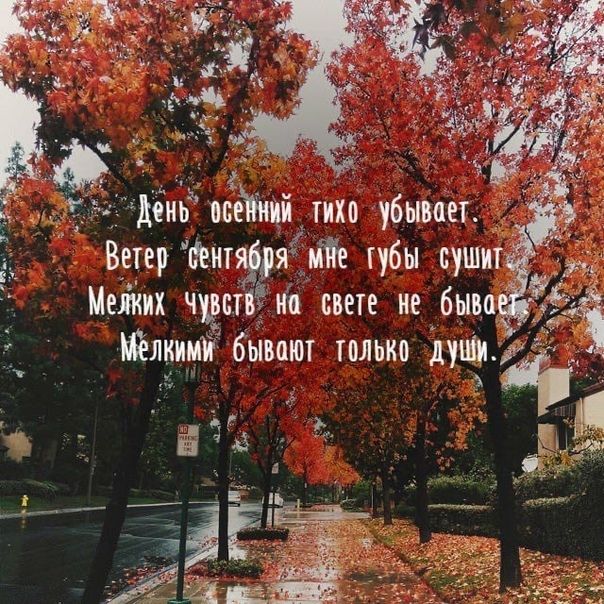 Ветер Мп яЁмЁе губы сушиг Мейн щиъ свете иеАбыва тёлкимі бывают только дунім
