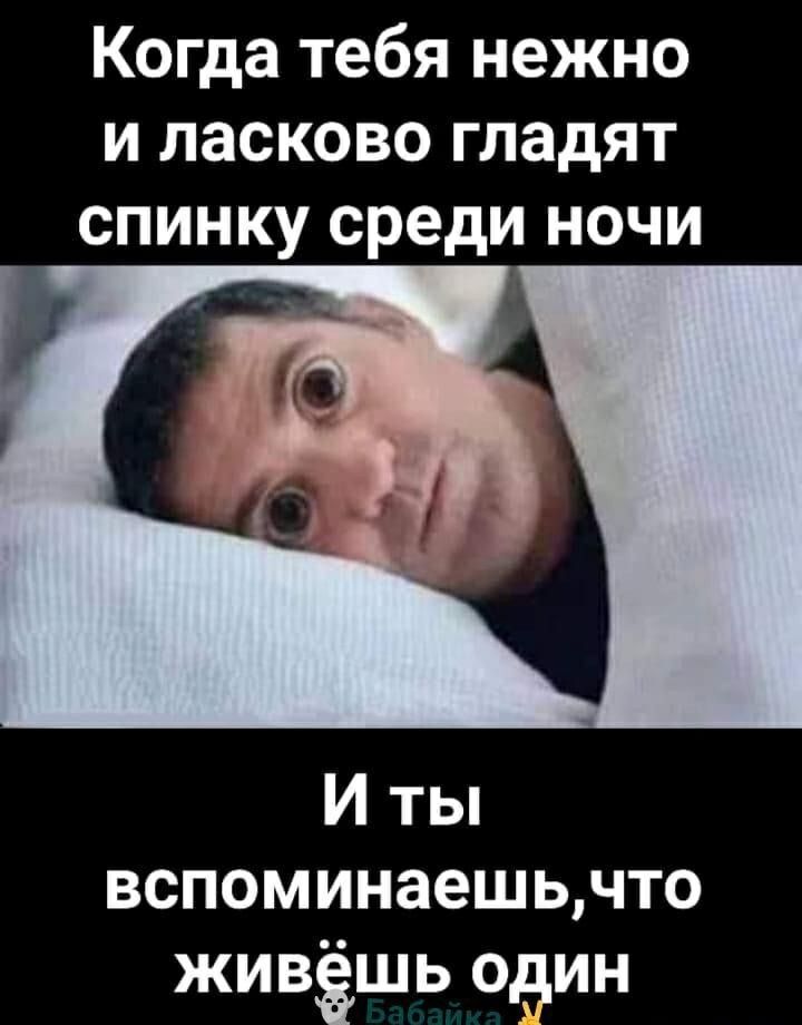 Когда тебя нежно и ласково гладят спинку среди ночи И ты вспоминаешьчто живёшь один