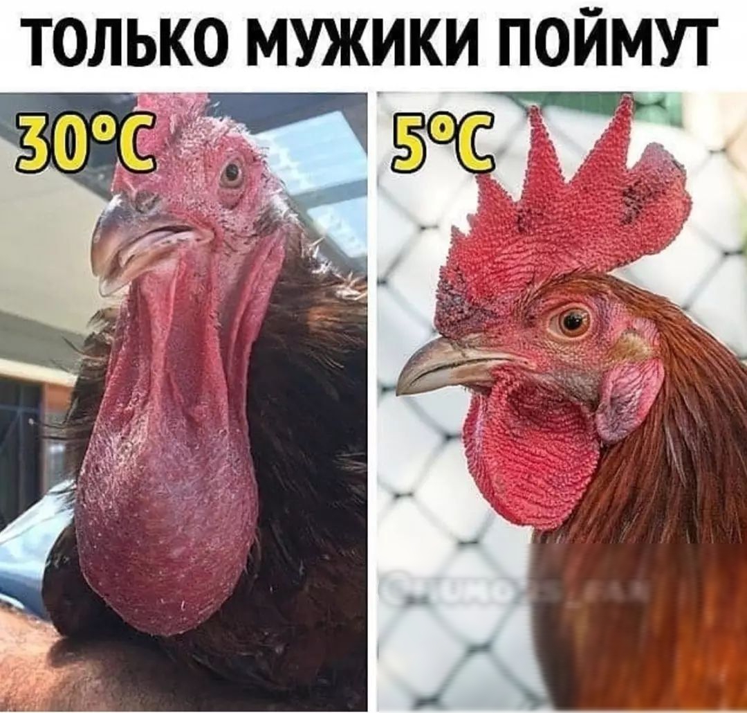 П м И 0 п И К м 0 К Ю