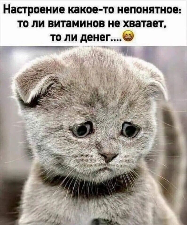 Настроение какое то непонятное то ли витаминов не хватает то ли денегё Ча