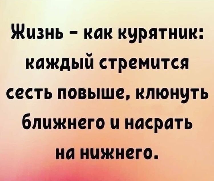 Жизнь как курятник каждый стремится сесть повыше клюнить ближнего и насрать на нижнего