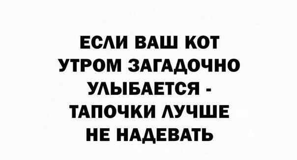 ЕСАИ ВАШ КОТ УТРОМ ЗАГААОЧНО УАЫБАЕТСЯ ТАПОЧКИ АУЧШЕ НЕ НААЕВАТЬ